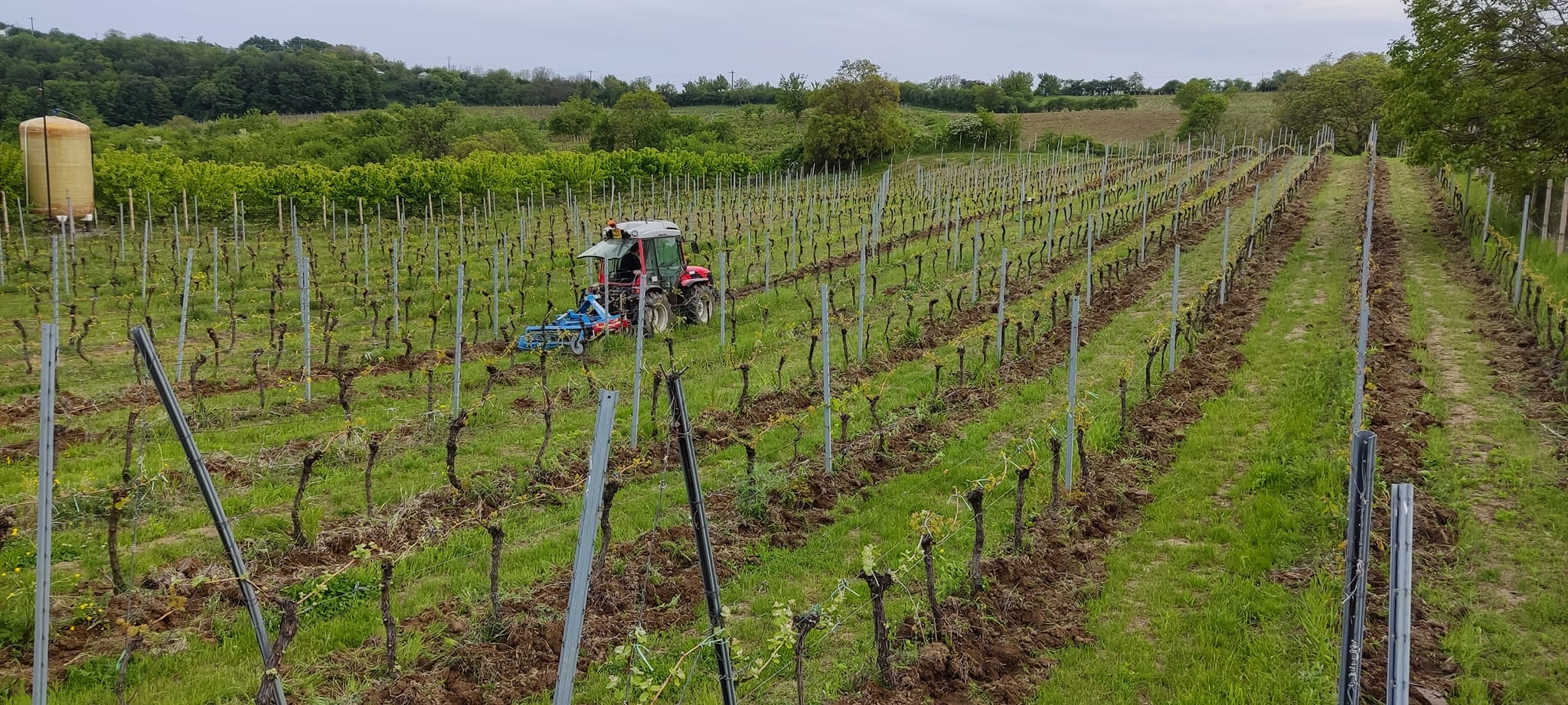 Prelucrarea terenului viticol